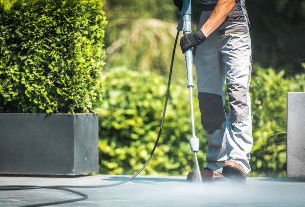 Best Roof Cleaning and Mildew Removal in Howe, TX