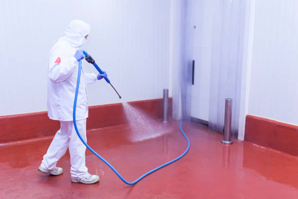 Best Residential Pressure Washing in Howe, TX